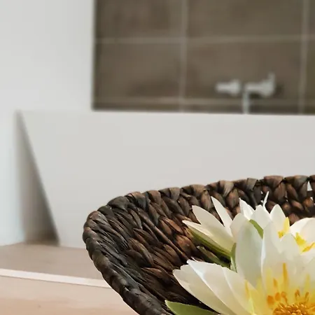 Cosy Aparthotel Stuttgart